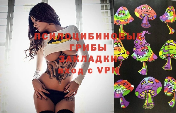 метадон Богородицк