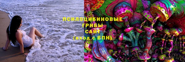 метадон Богородицк