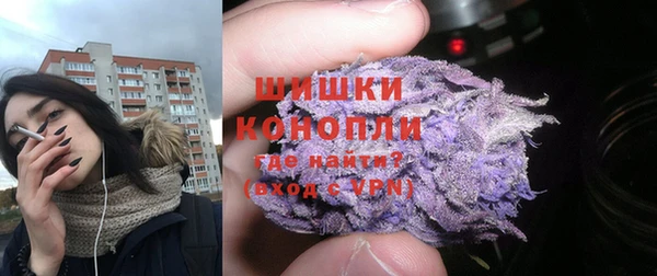 Альфа ПВП Бородино