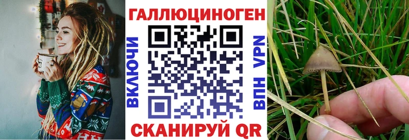 Псилоцибиновые грибы Cubensis  Высоковск 